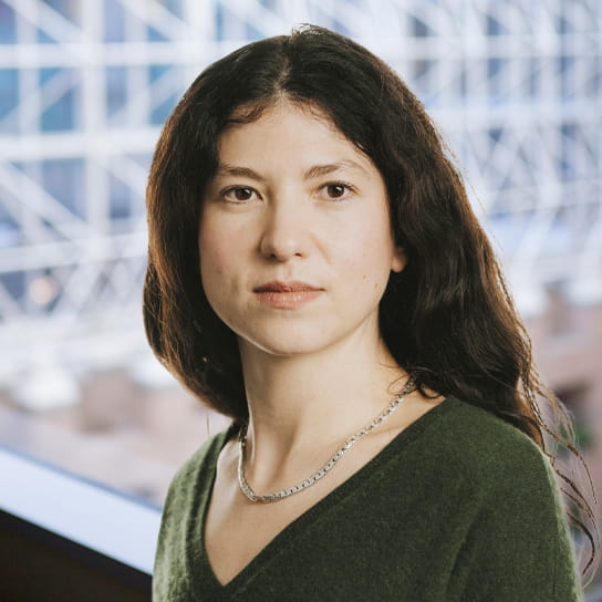 Noémie Lisbonis Boyer, Hogan Lovells